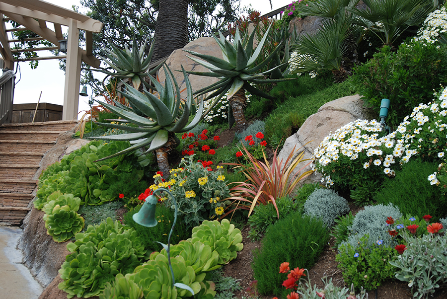 Ca Friendly Design Ideas Roger S Gardens