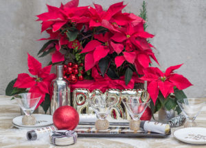 Christmas-Blog-2016-Barbara-Round-2-7