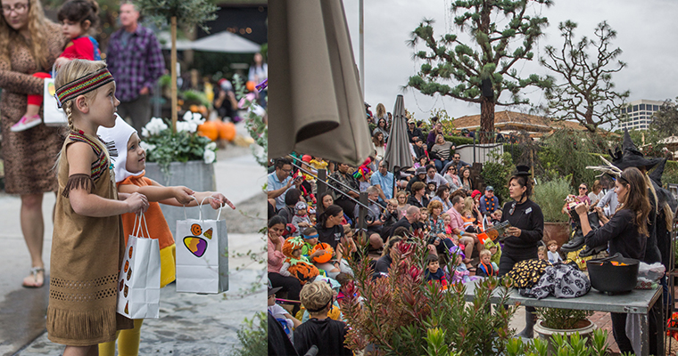 An image of the Children's Halloween Festival at Roger's Gardens