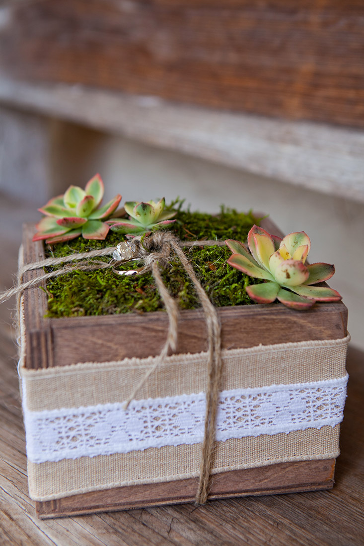 An image of a little moss garden with the rings from the Sherman Garden Wedding