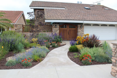 Remove or reduce your turf size | Roger's Gardens