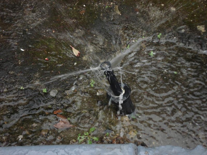 Fix clogged sprinkler heads Roger's Gardens