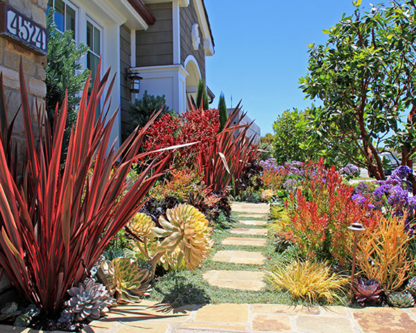 Replace a portion of your lawn with beautiful native and California