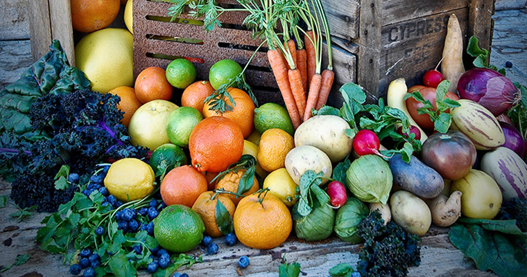 Edible Garden with David Rizzo Image