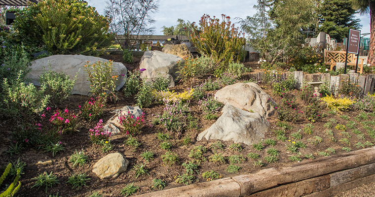 An image of the bird & butterfly garden