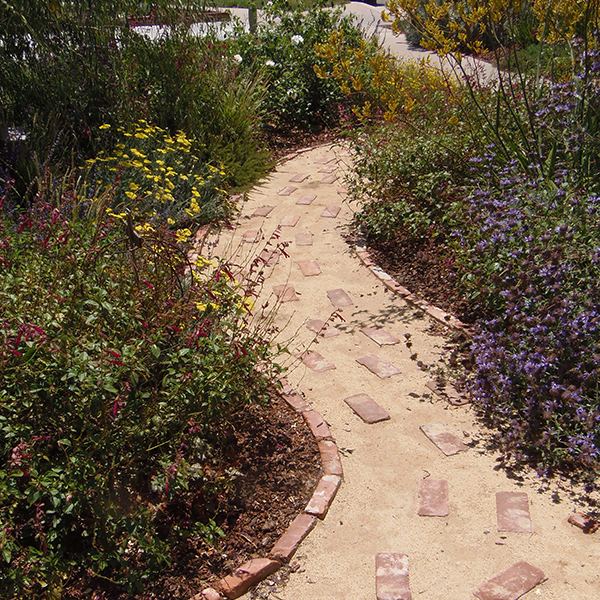 Brick Pathway in Contest Winning Garden