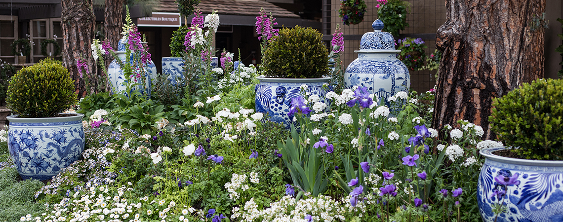 Header An image of white and blue porcelain vase with purple and white flowers