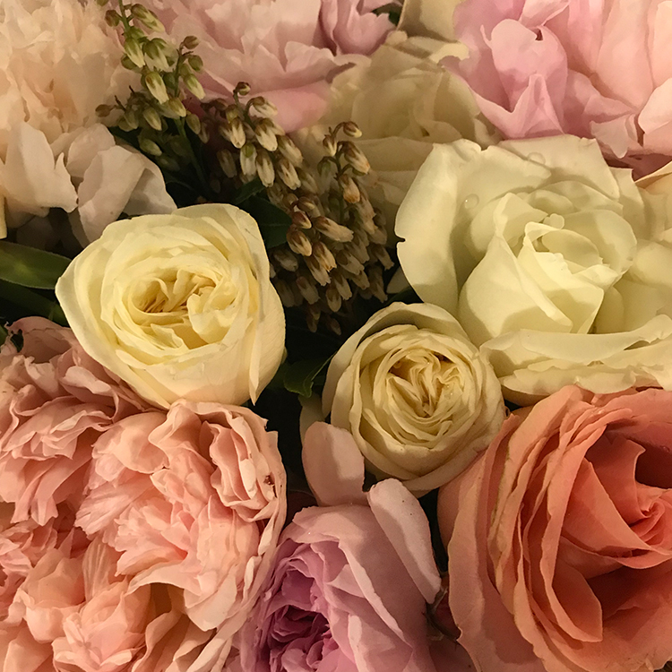 an image of white and pink flower florals