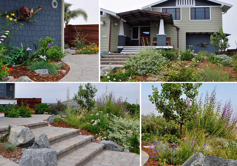 A collage of Ethington entry for California Friendly Garden Contest 2018