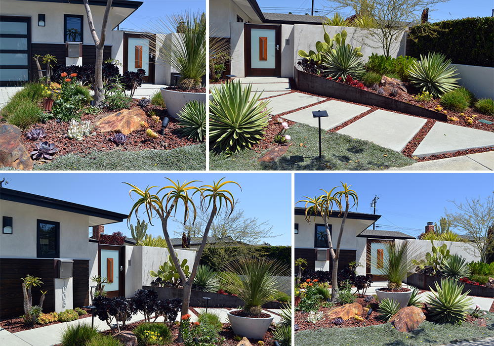 A collage of Hodge entry for California Friendly Garden Contest 2018
