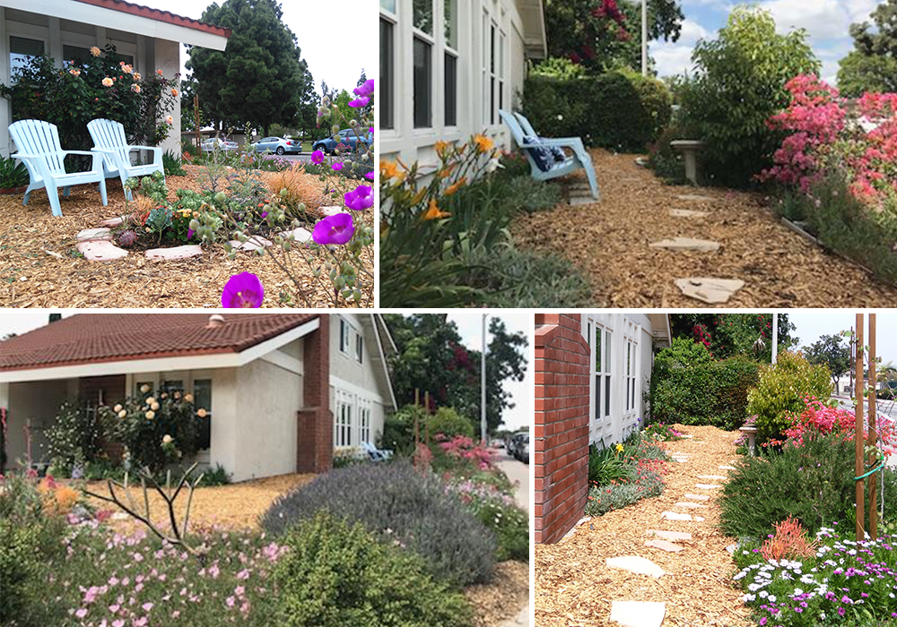 A collage of Lee entry for California Friendly Garden Contest 2018