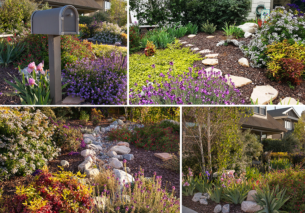 A collage of Orland entry for California Friendly Garden Contest 2018