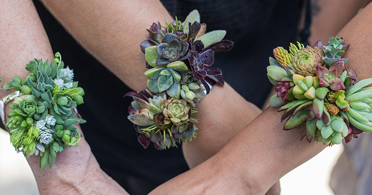 An image of a succulent bracelet