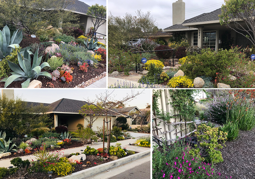 A collage of Tran entry for California Friendly Garden Contest 2018