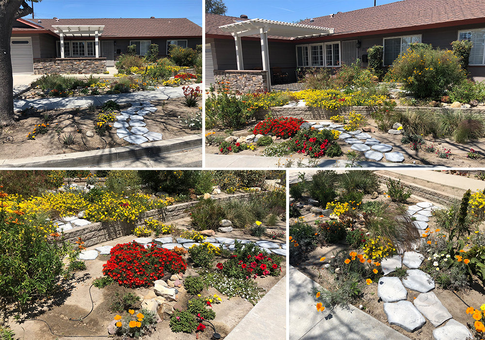 A collage of Tyra entry for California Friendly Garden Contest 2018