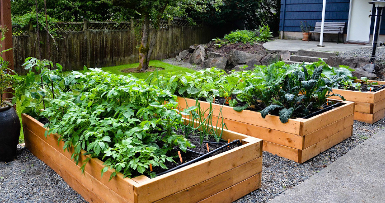 Raised bed gardening vegetable gardening seminar newport beach roger's gardens