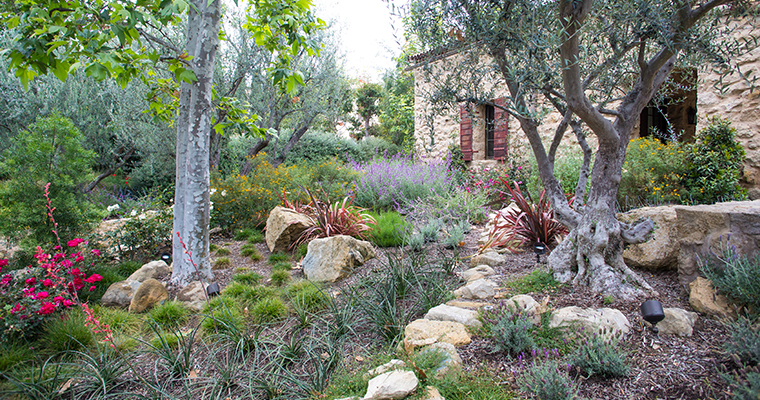 An image of a California Native Garden for Growing Your Own Garden