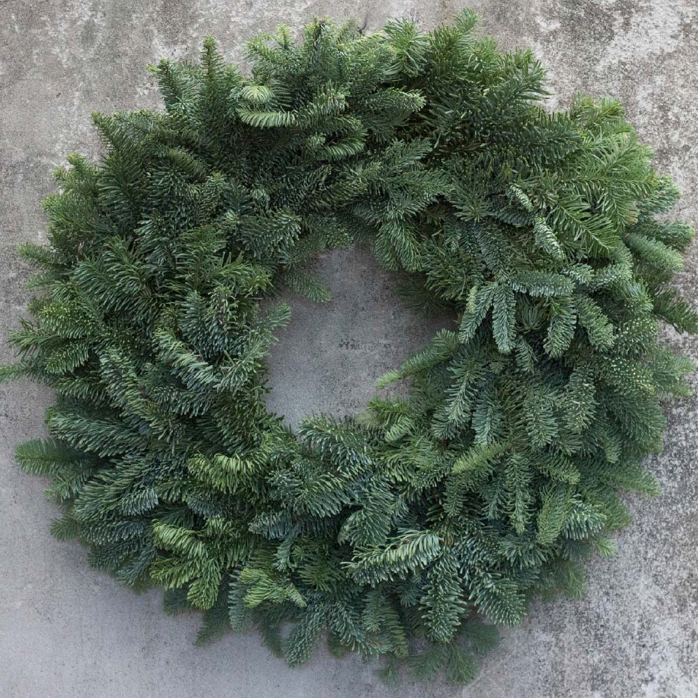 PlainNoble An image of a green plain noble wreath