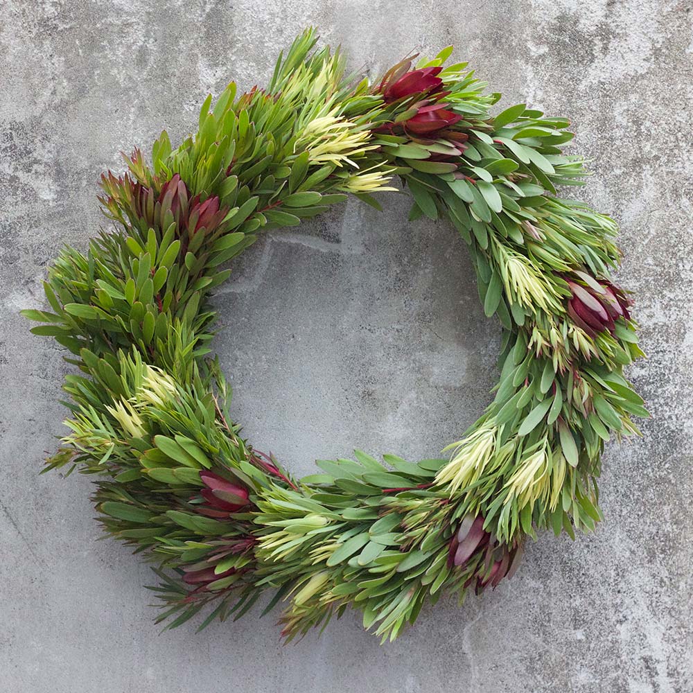 banksia An image of a green banksia wreath