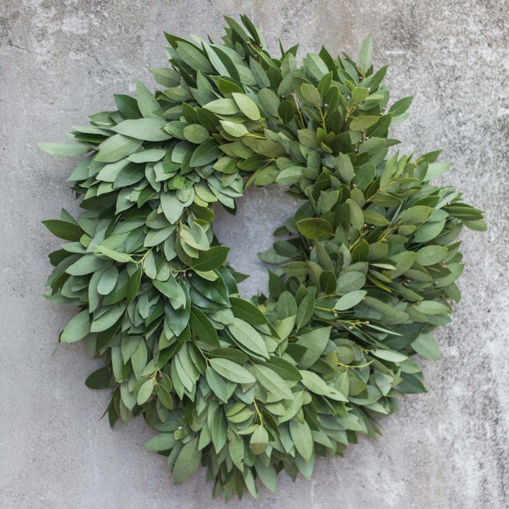 bayleaf An image of a green bayleaf wreath