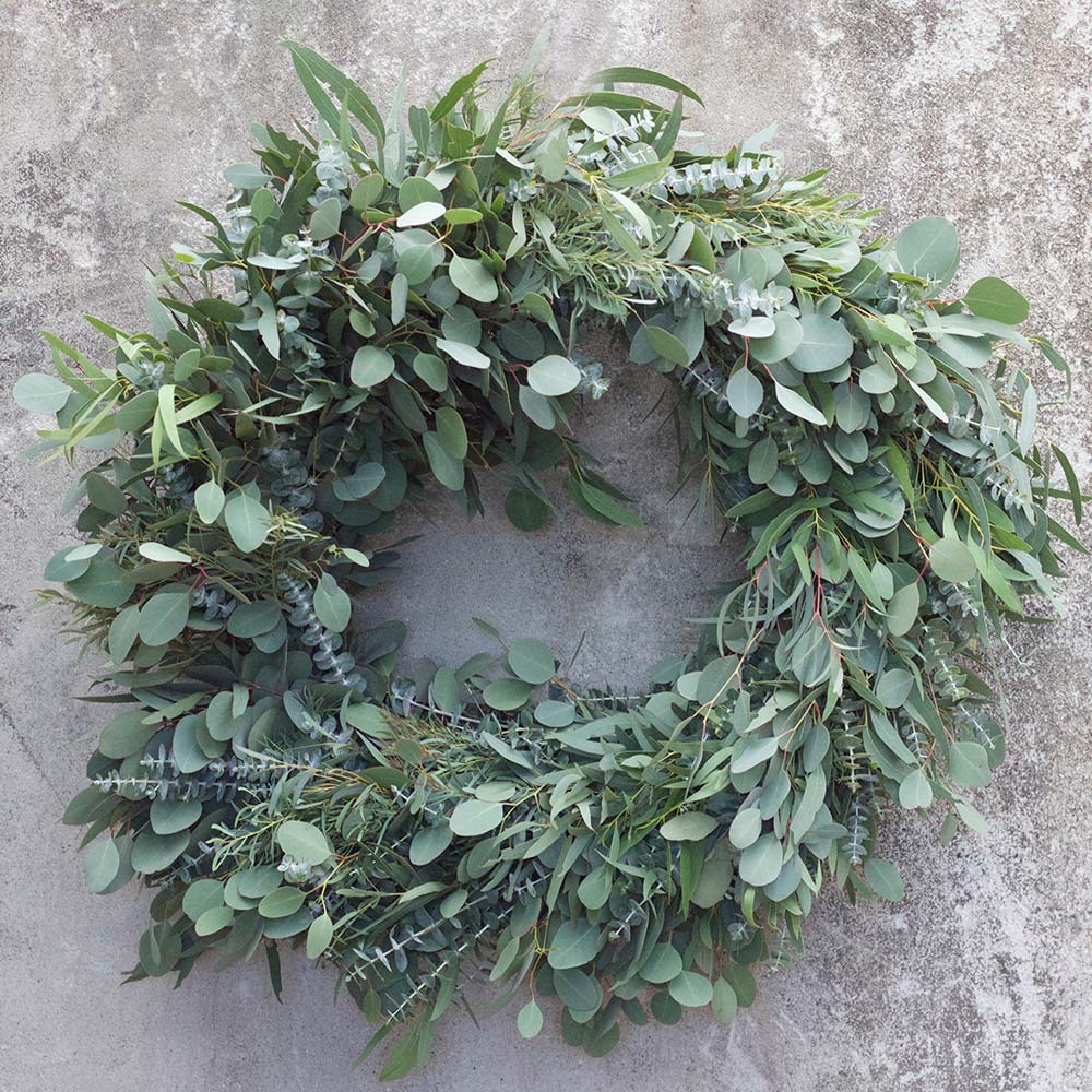 eucalyptus An image of a green eucalyptus wreath
