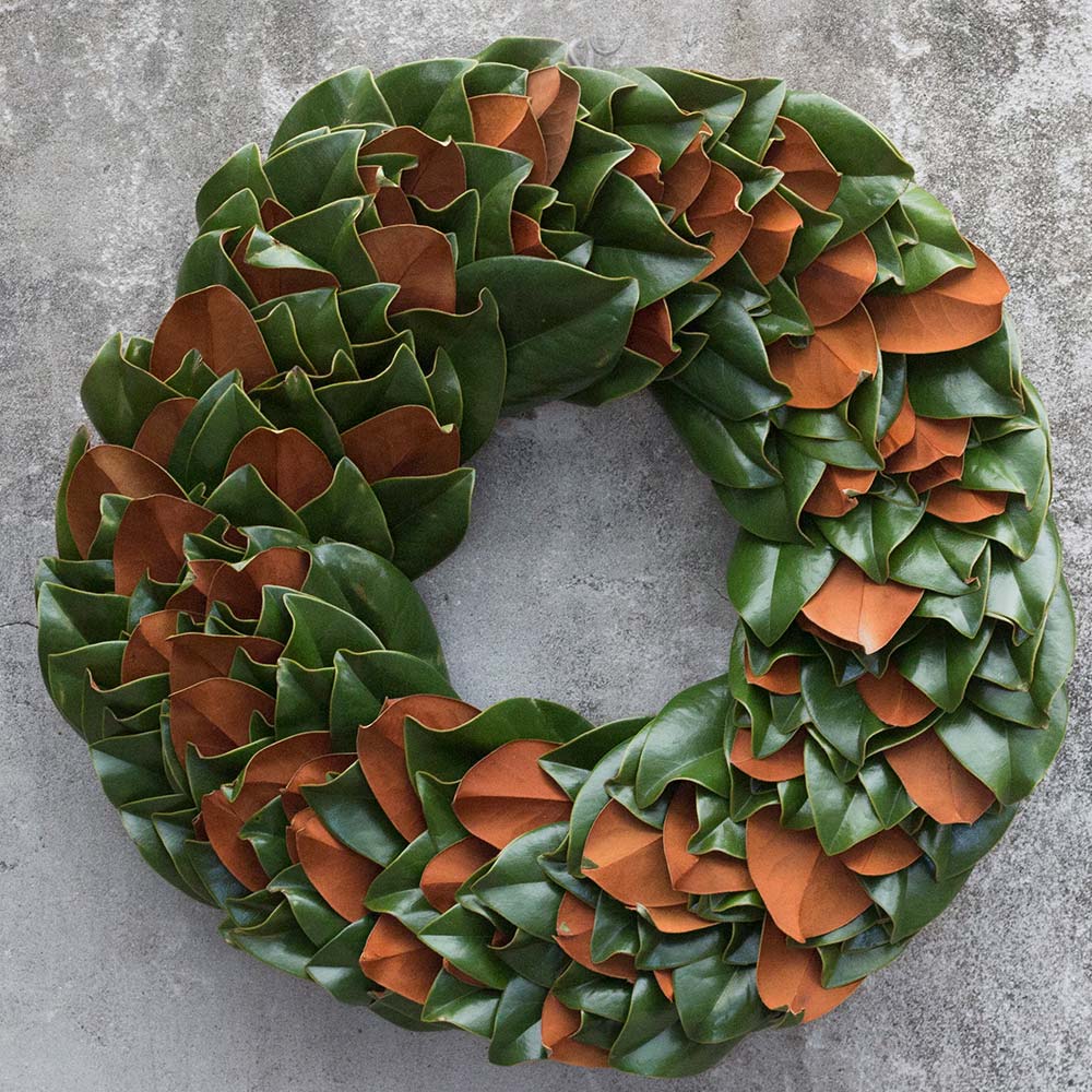 magnolia An image of a magnolia wreath