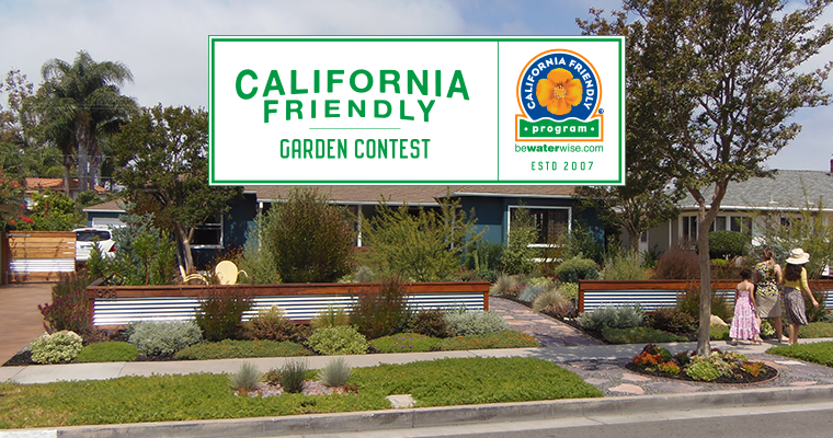 An image of a front yard of a teal house for the California Friendly Garden Contest