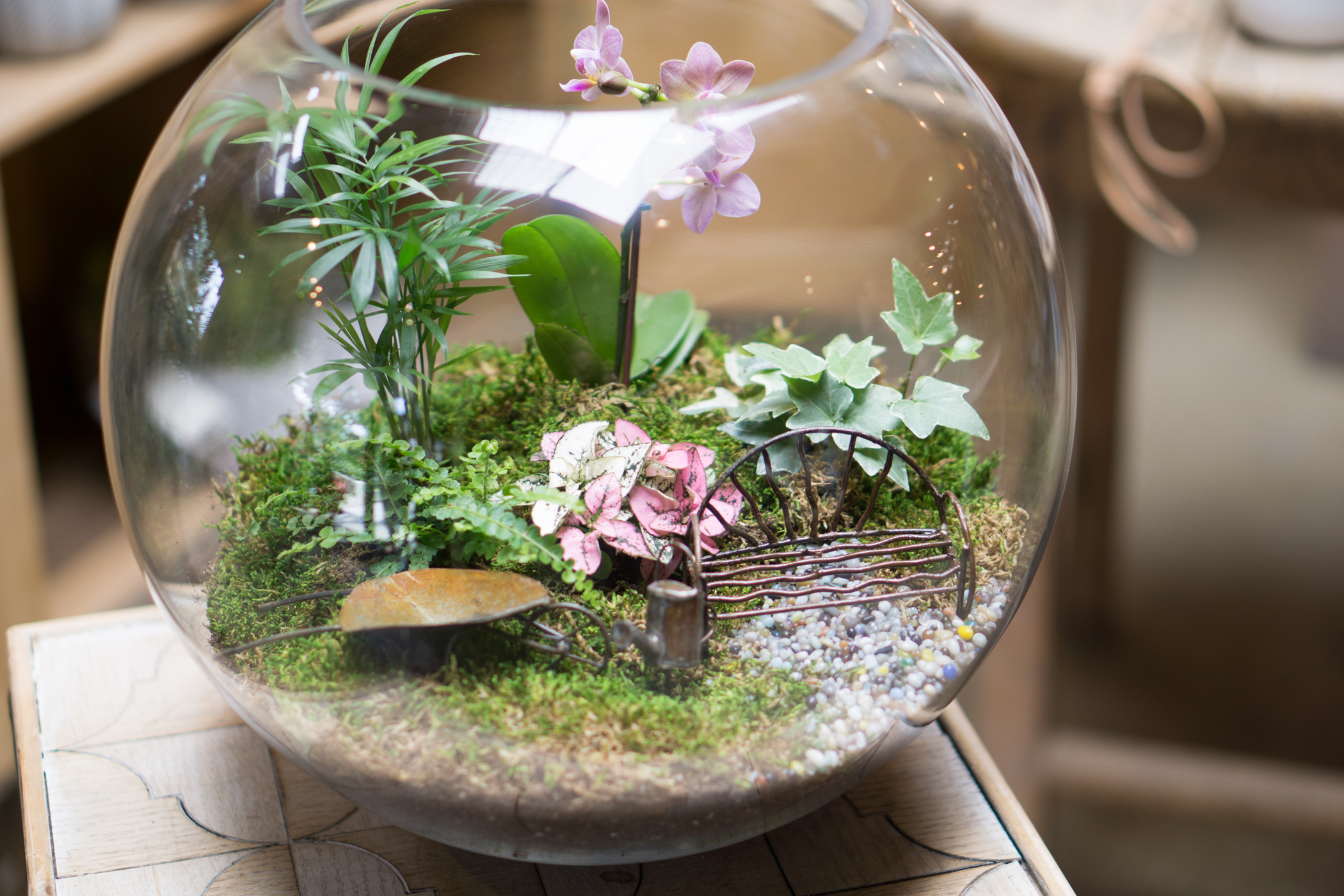 An image of a tiny mini fantasy garden terrarium workshop