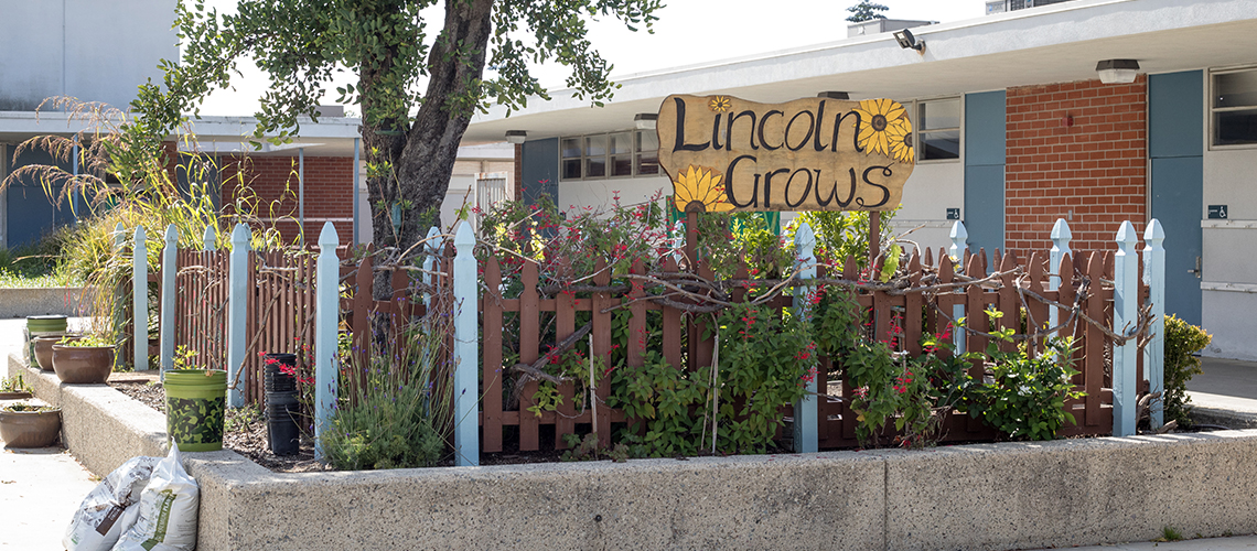 An image of Lincoln Grows on tan wood and painted sunflowers sign