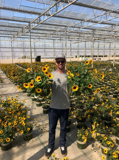An image of Matt holding sunbelievable sunflowers