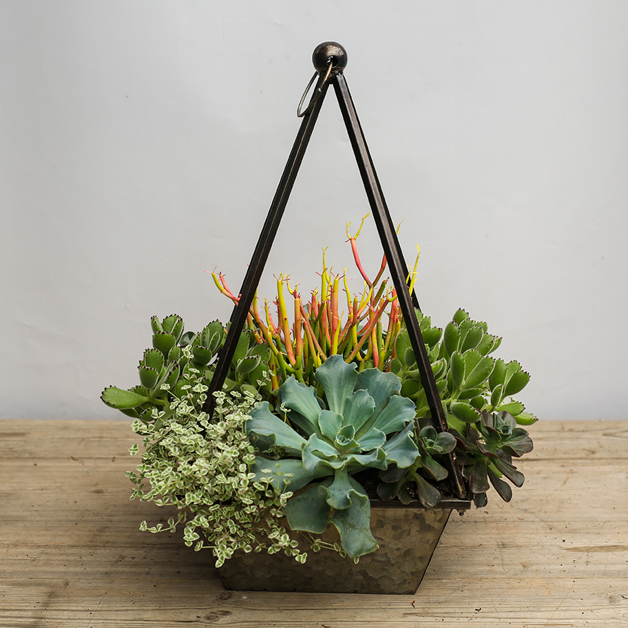 An image of the succulent pyramid for workshop