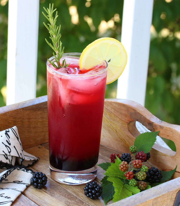 An image of a blackberry spritzer