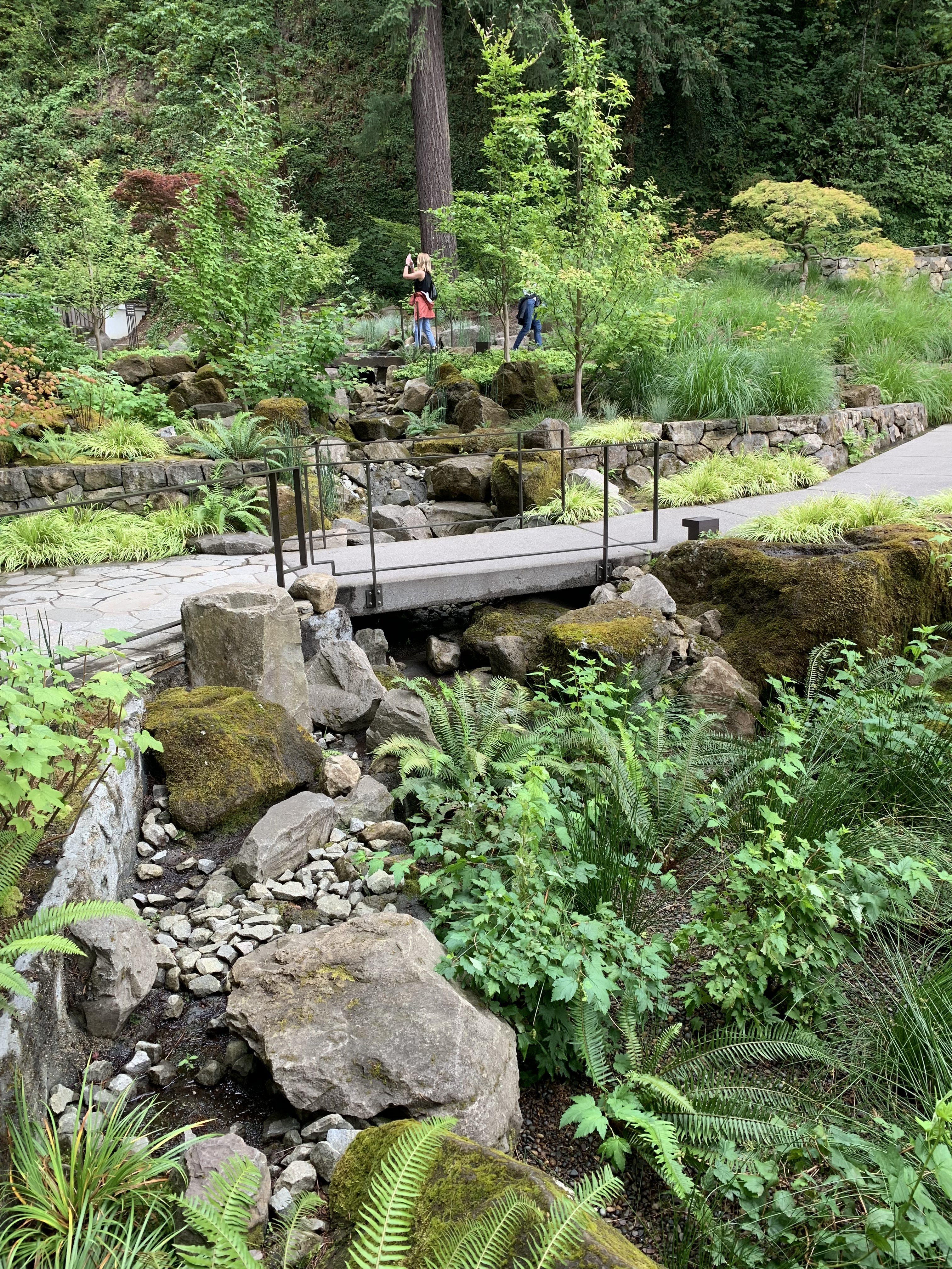Japanese Garden Japanese Garden