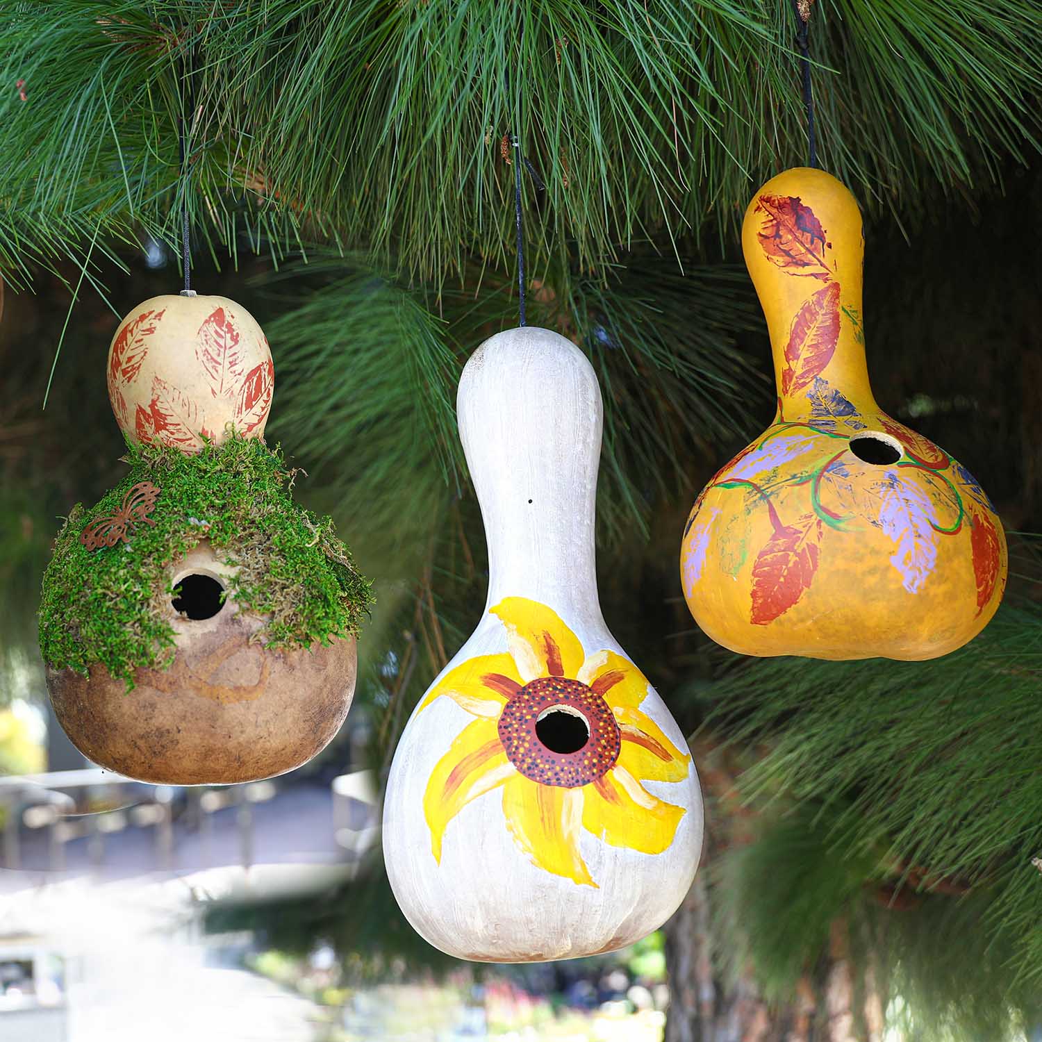 Gourd Birdhouse Workshop