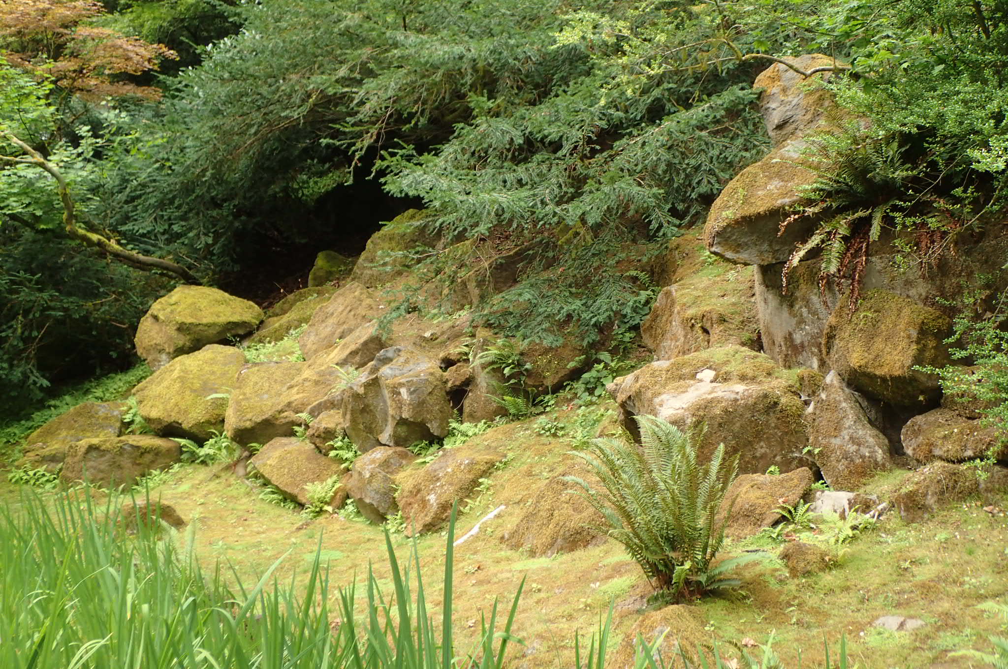 Japanese Garden