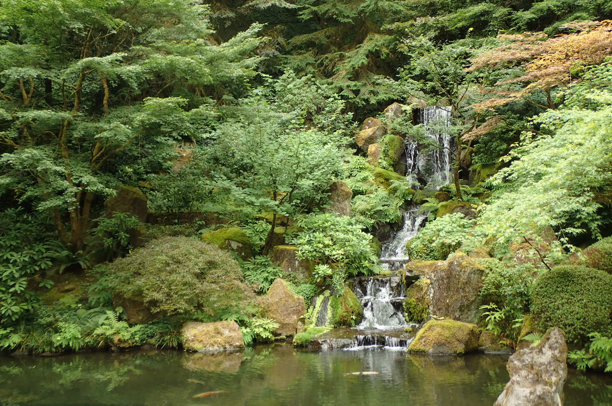 Japanese Garden Japanese Garden