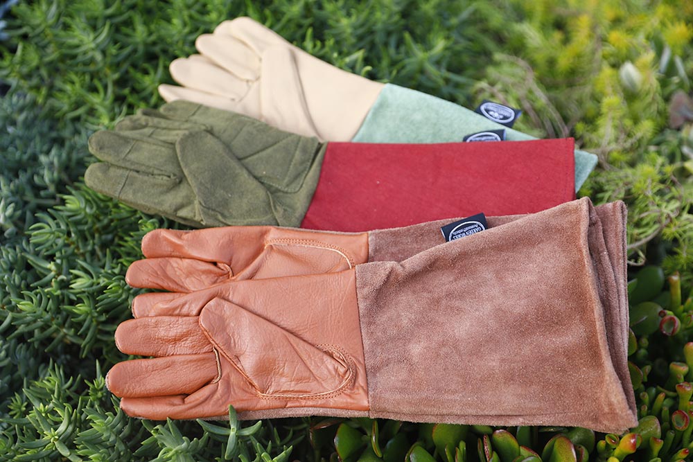 gloves gloves