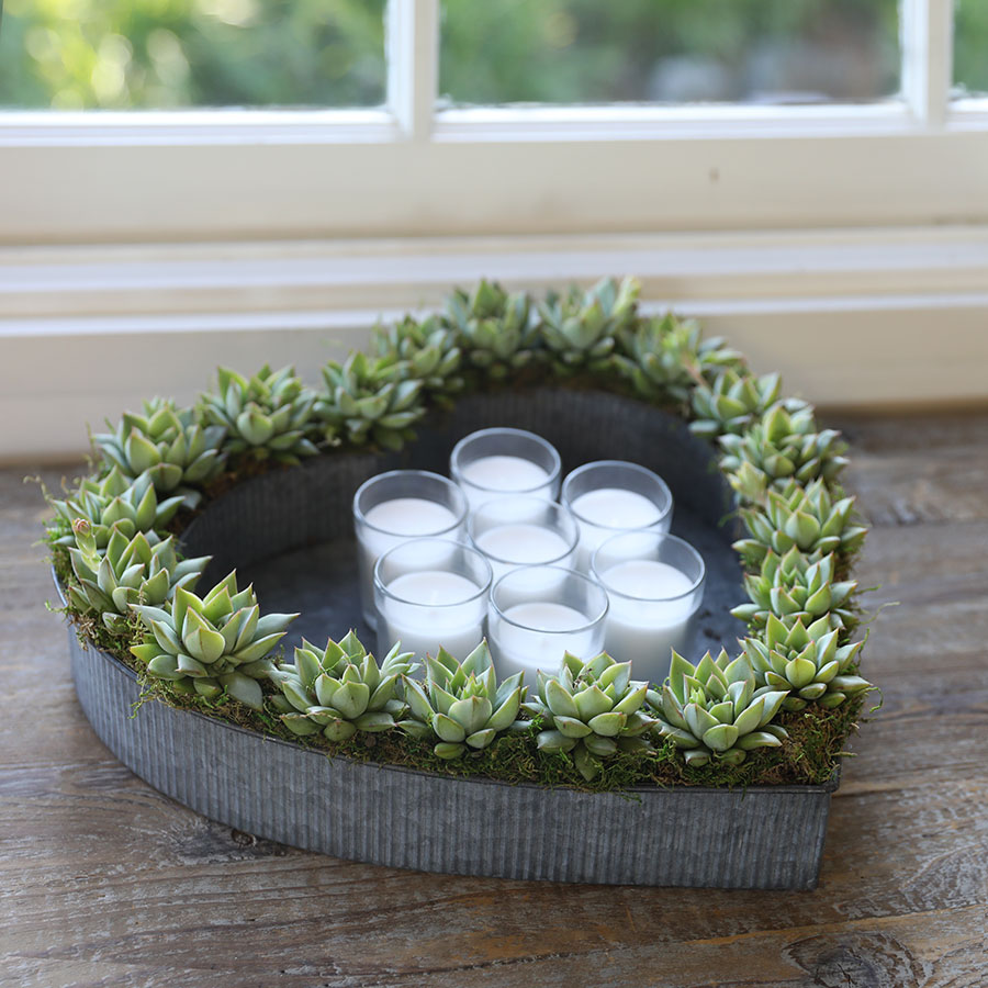 Heart-shaped-succulent-planter-with-candles1