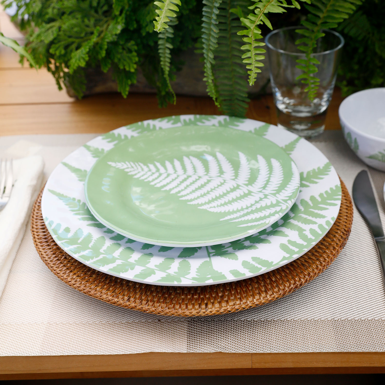 Fern2