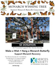 Monarch-Wishing-Tree